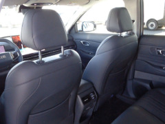 GEELY STARRAY EM-i PRO foto 6